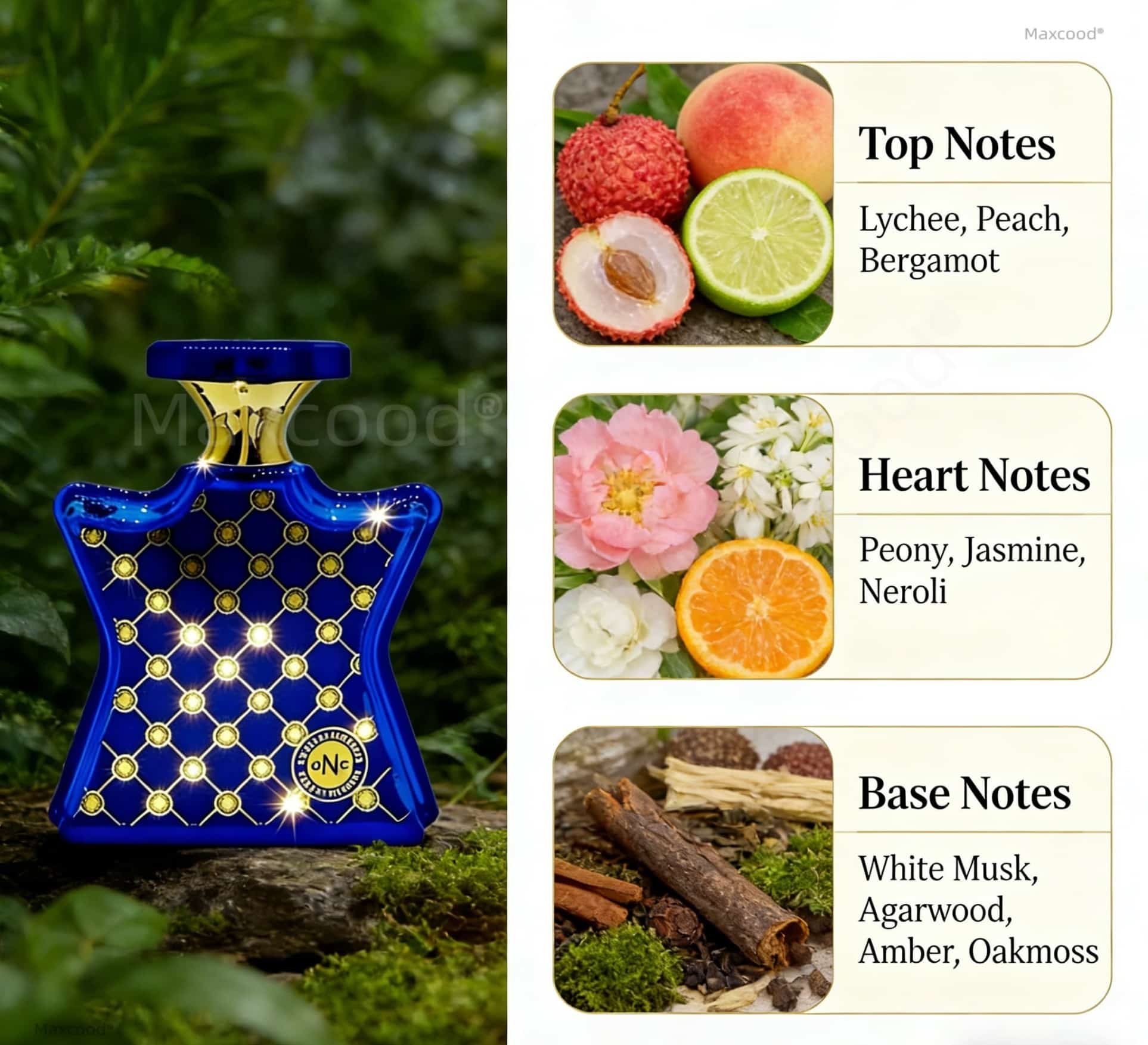 Citrus and Floral Perfume Long - Perfume Floral Fragrance recension och pris