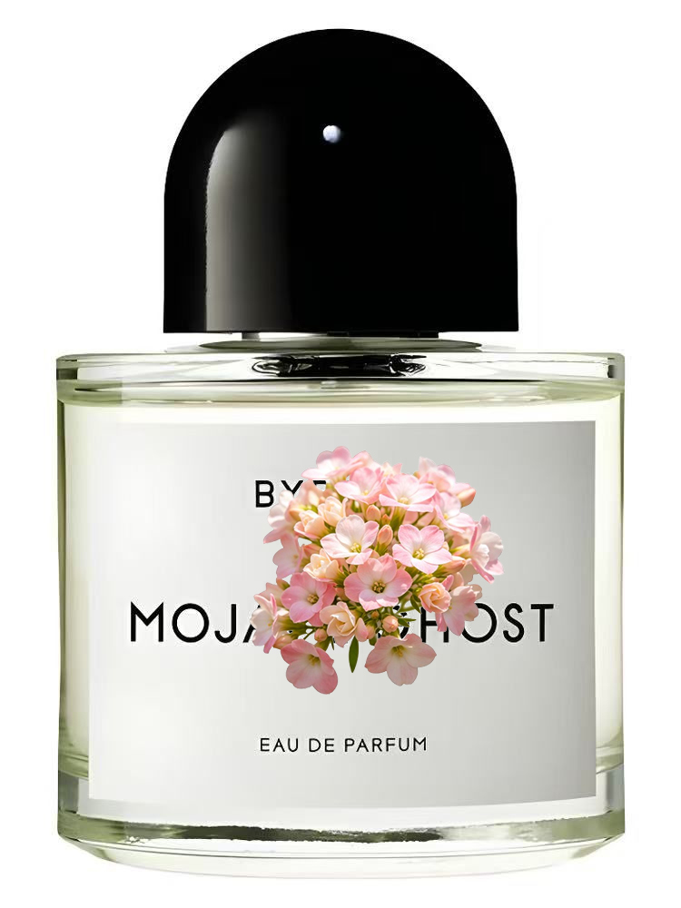MOJAVE  OUT OF STOCK  Unisex E - Perfume Floral Fragrance recension och pris